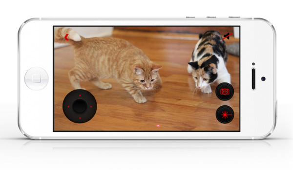 Ukrainian startup Petcube helps entertain pets remotely, begins to take orders